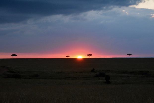 Masai Mara - 39 of 95